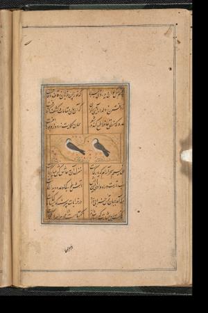 دیوان حافظ به خط عبدالصمد شیرین‌قلم ۹۹۰ هجری » تصویر 36
