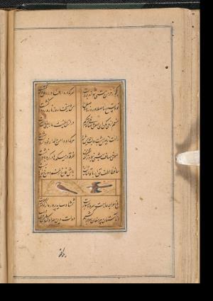 دیوان حافظ به خط عبدالصمد شیرین‌قلم ۹۹۰ هجری » تصویر 46
