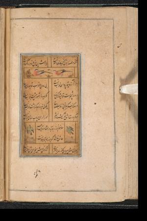 دیوان حافظ به خط عبدالصمد شیرین‌قلم ۹۹۰ هجری » تصویر 110