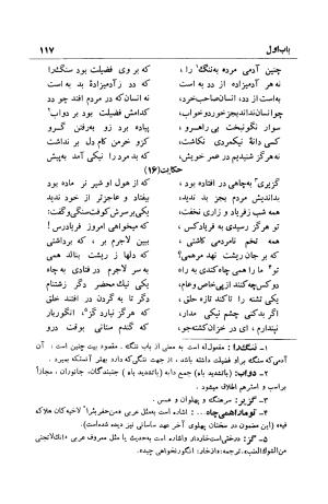 شرح بوستان دکتر محمد خزائلی » تصویر 118