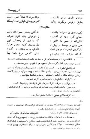 شرح بوستان دکتر محمد خزائلی » تصویر 215